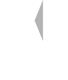 Advertised Mobile Logo